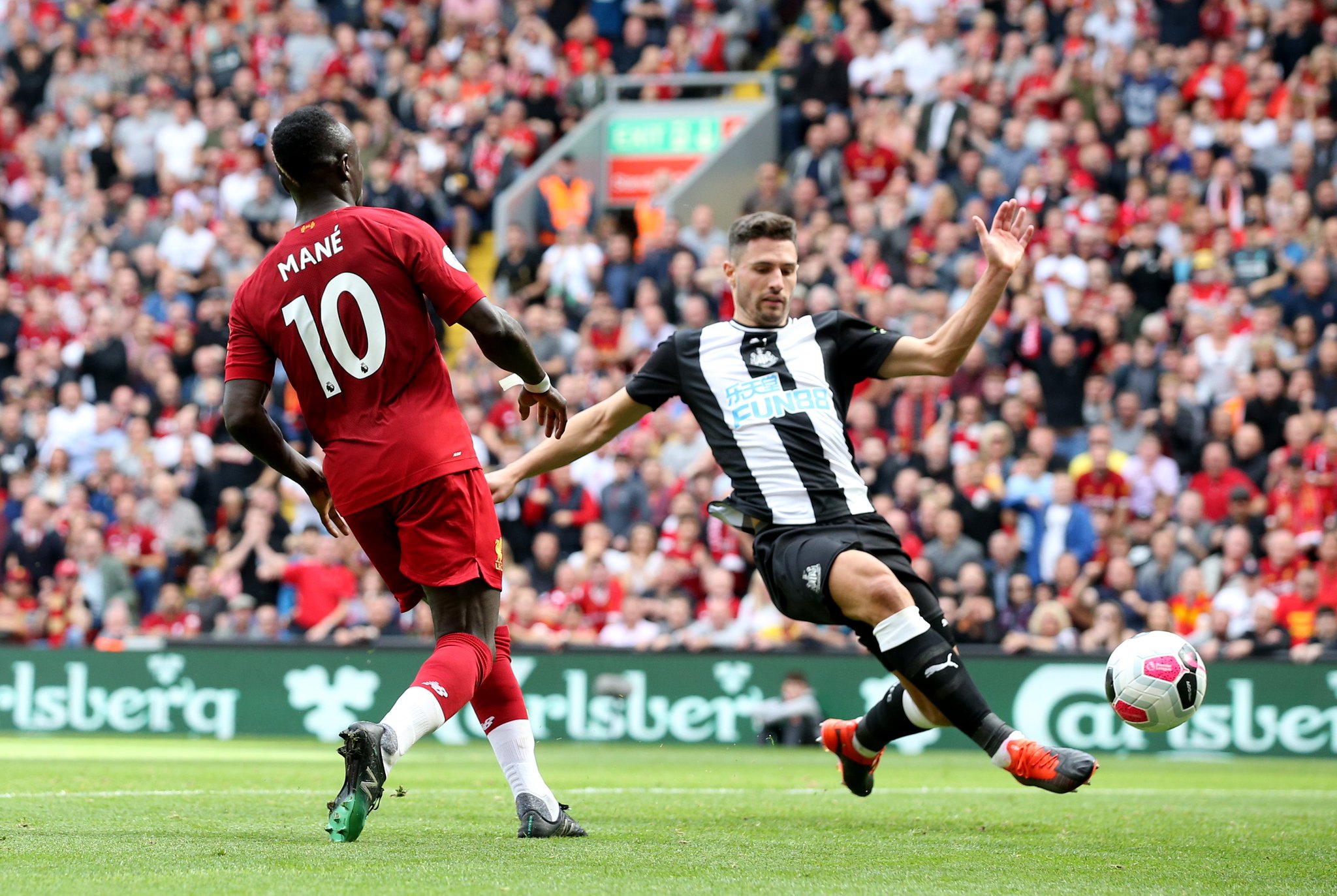 大多数球馆 大多数球馆