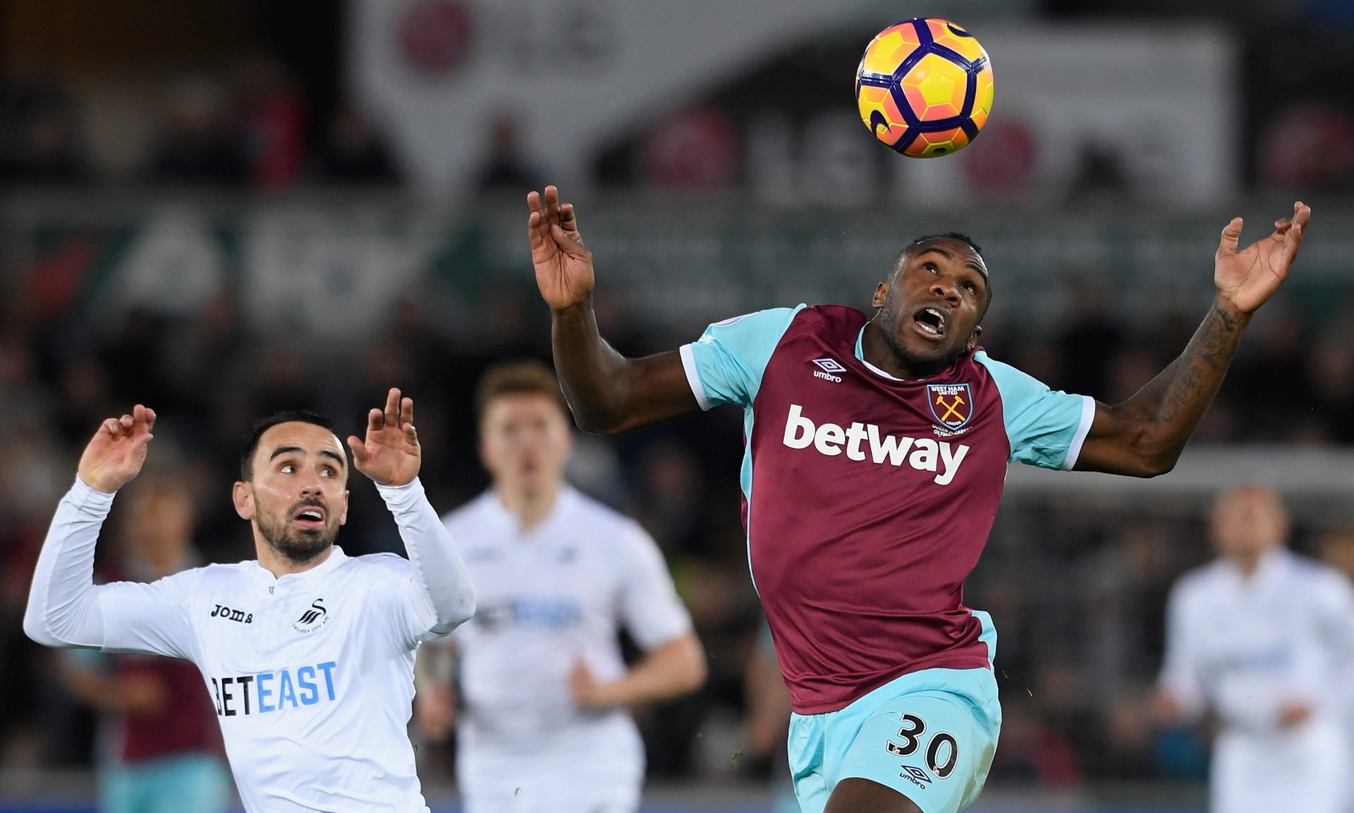 高贝林厄姆 高贝林厄姆