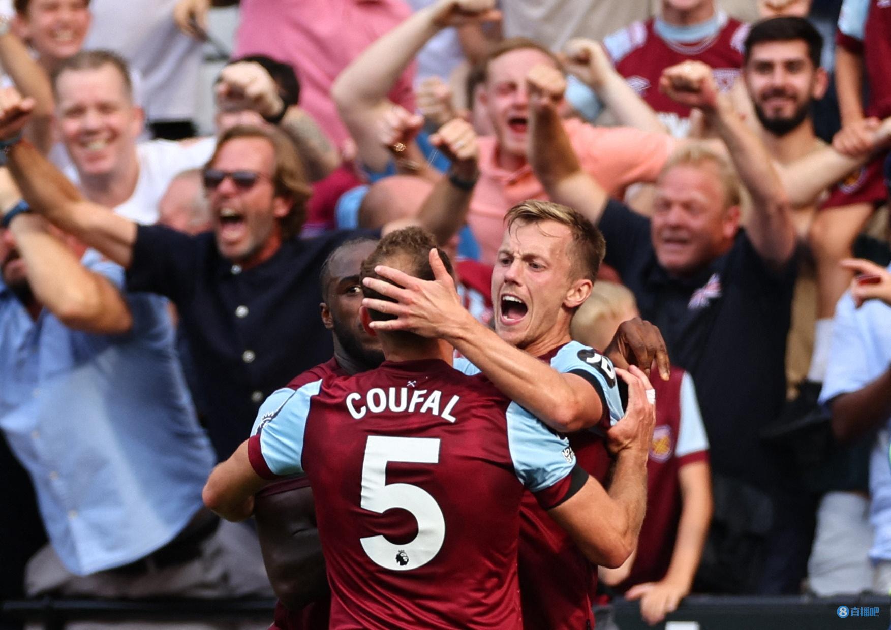 不同草种 不同草种